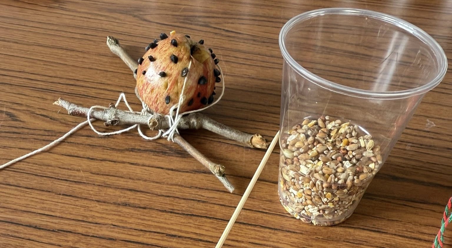 506191148 1183570537147679 529