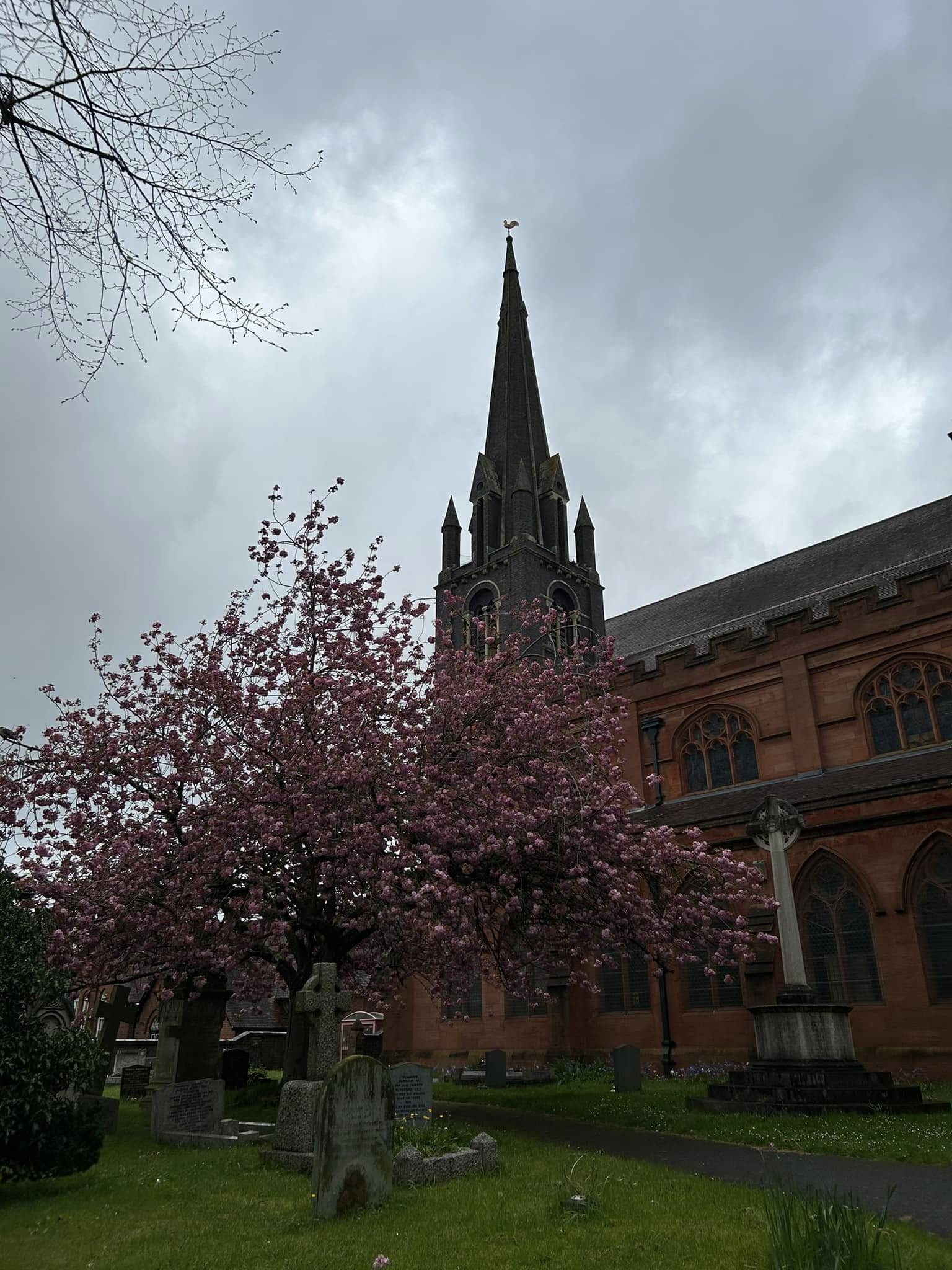 488064177 1128031596034907 752