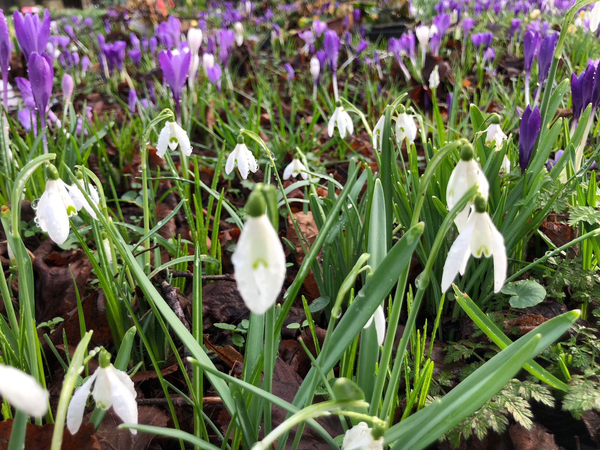 486808540 1126488682855865 199