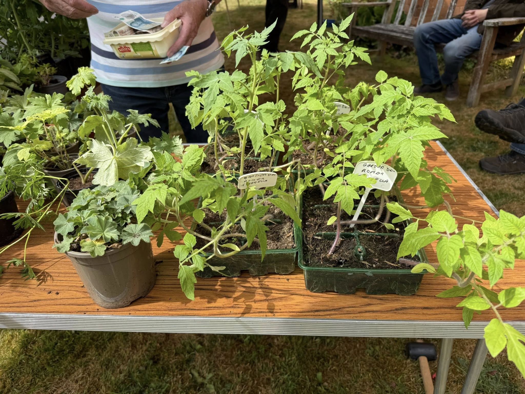 499980032 1169538958550837 763