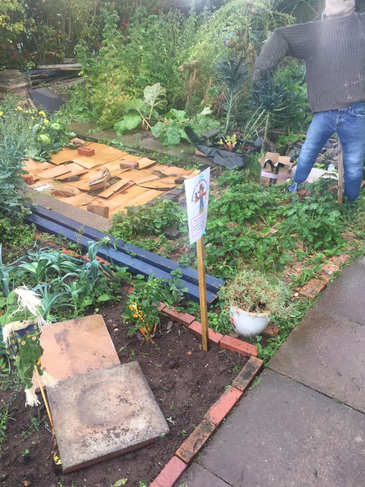 474150571 3001803633302690 226