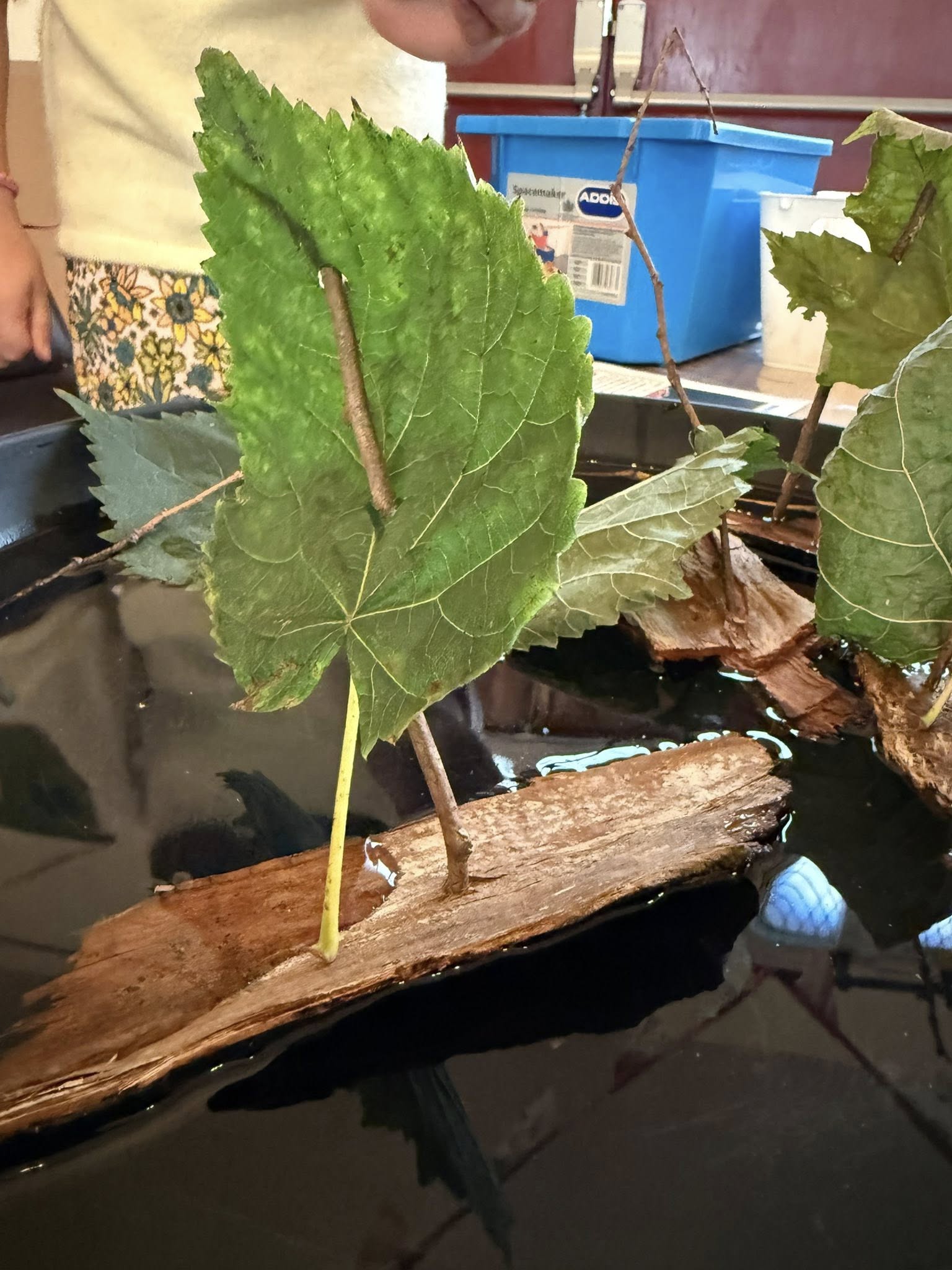 559392076 1286812546823477 776